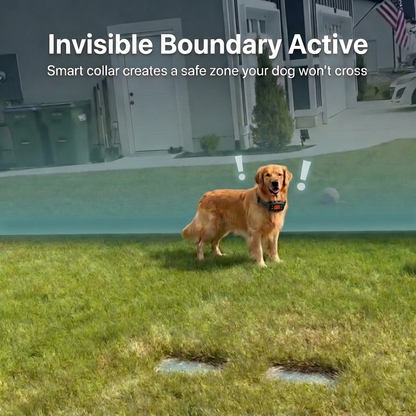 XSENTRY™ — Where Freedom Meets Safety