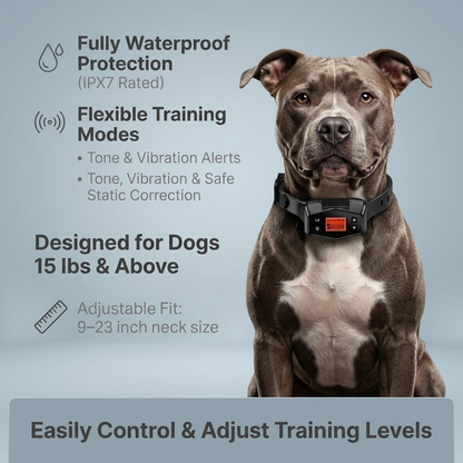 XSENTRY™ — Where Freedom Meets Safety