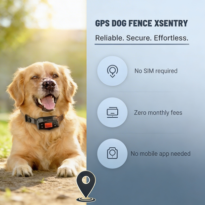 XSENTRY™ — Where Freedom Meets Safety