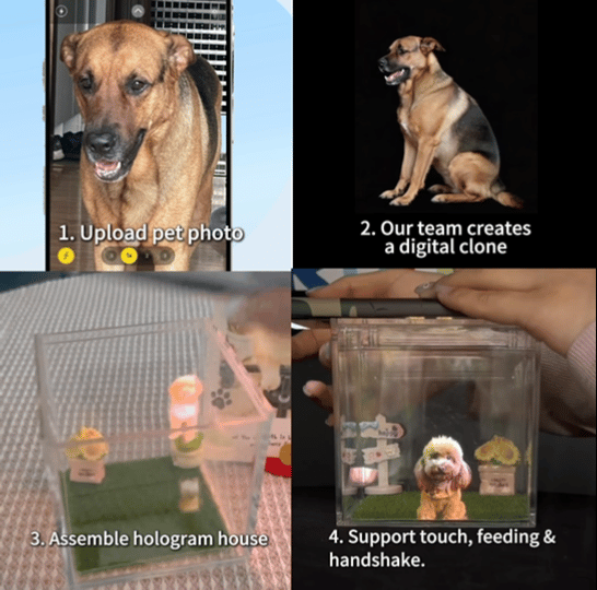 Forever Paws™ – A Hologram of Unconditional Love