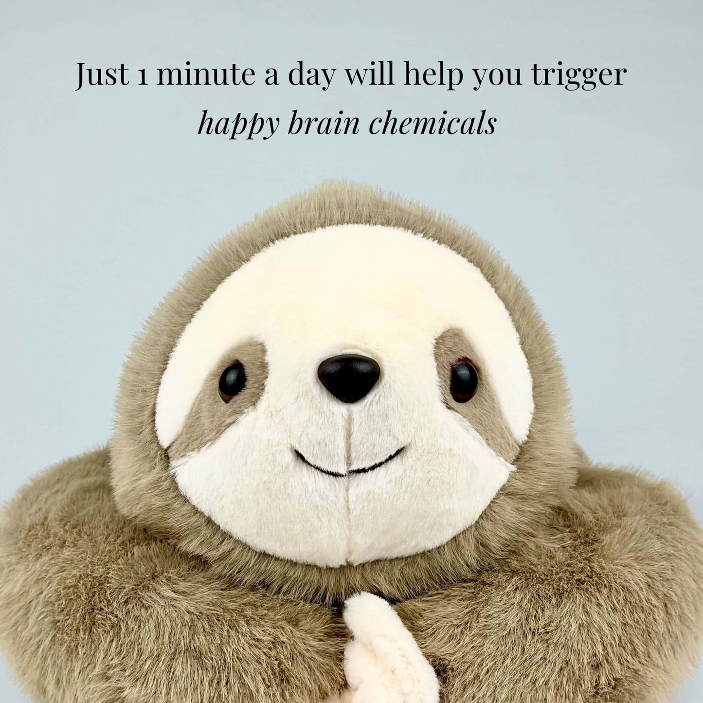 Sola the Sloth Weighted Animal